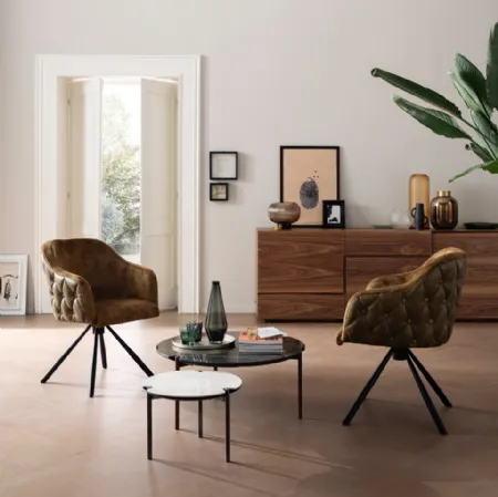 Madia moderna Geko di Alta Corte