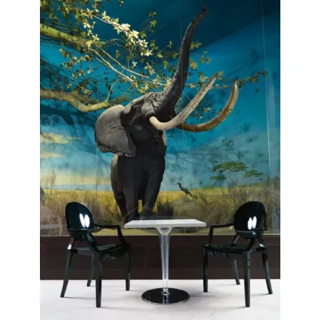 Tavolo Top Top con piano in laminato e base in plexiglass di Kartell